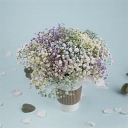 Букет цветов "Облако гипсофил" в стаканчике