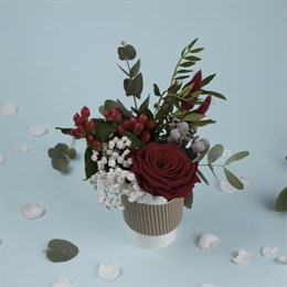 Букет цветов "Красная роза с ягодами" в стаканчике