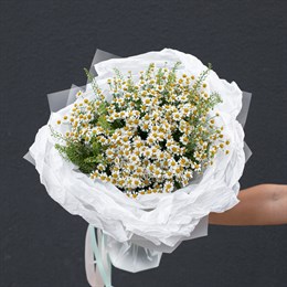 Букет цветов из ромашек "Камила"