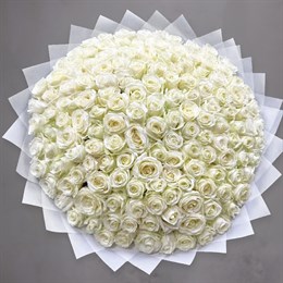 Букет цветов 101 роза Белая